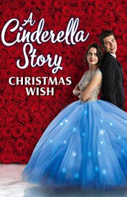 A Cinderella Story: Christmas Wish izle