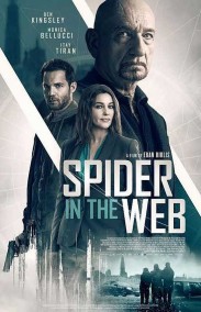 Spider in the Web izle